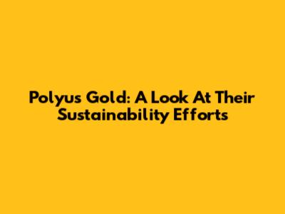 Polyus Gold: A Look At Their Sustainability Efforts